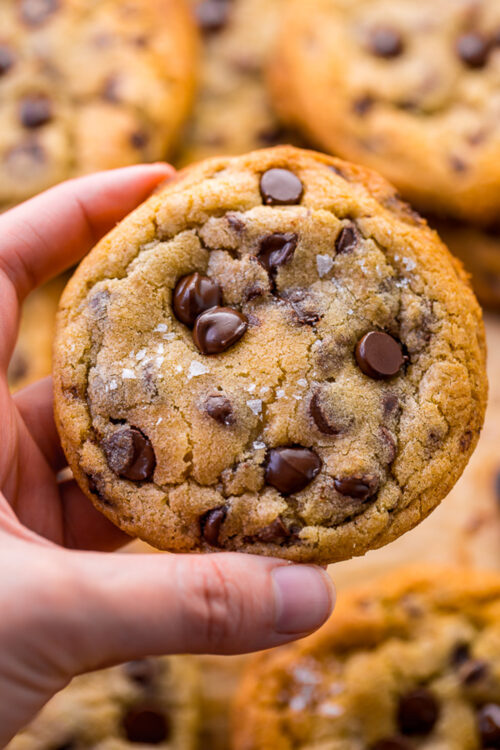 Craving chocolate chip cookies? Well, you're in the right place! Today I'm sharing 21 chocolate chip cookie recipes sure to cure ANY craving! Seriously! So whether you're looking for mini chocolate chip cookies, vegan chocolate chip cookies, or monster chocolate chip cookies loaded with m&ms and chewy oats, I've got you covered! 